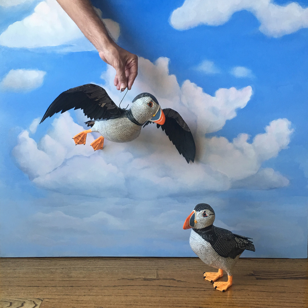 Climate changes...spotted Puffin Birds in Houston